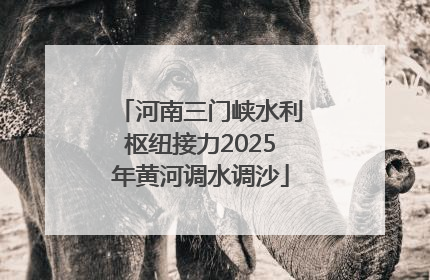河南三门峡水利枢纽接力2025年黄河调水调沙