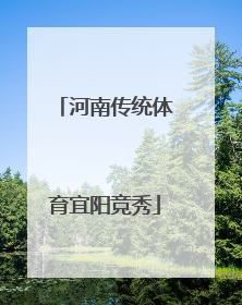 河南传统体育宜阳竞秀