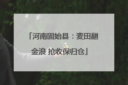 河南固始县：麦田翻金浪 抢收保归仓