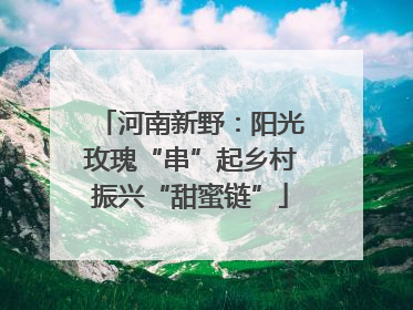 河南新野：阳光玫瑰“串”起乡村振兴“甜蜜链”