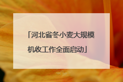 河北省冬小麦大规模机收工作全面启动
