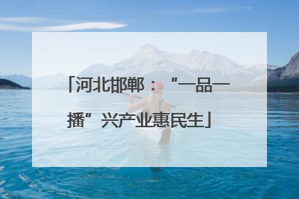河北邯郸：“一品一播”兴产业惠民生