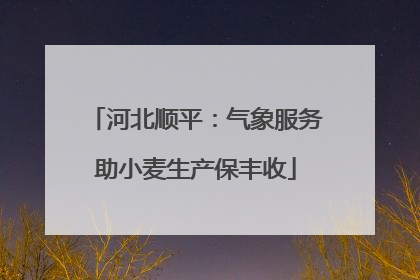 河北顺平：气象服务助小麦生产保丰收