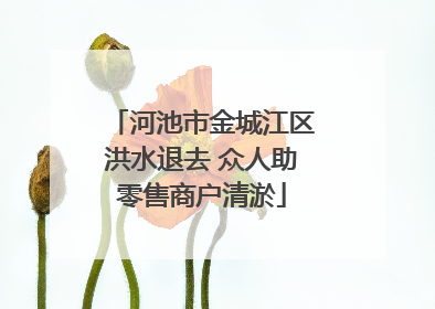 河池市金城江区洪水退去 众人助零售商户清淤