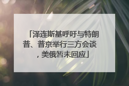 泽连斯基呼吁与特朗普、普京举行三方会谈，美俄暂未回应