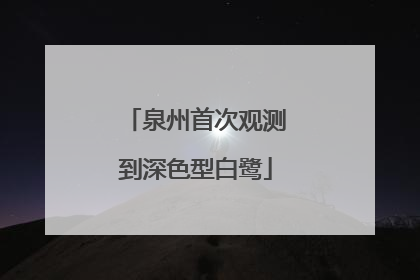 泉州首次观测到深色型白鹭