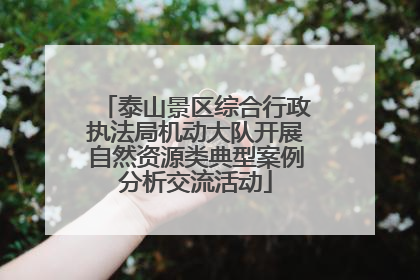 泰山景区综合行政执法局机动大队开展自然资源类典型案例分析交流活动