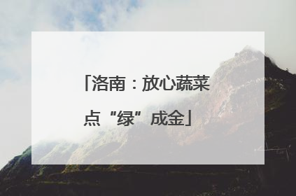洛南：放心蔬菜点“绿”成金