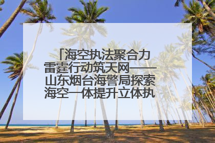 海空执法聚合力 雷霆行动筑天网——山东烟台海警局探索海空一体提升立体执法效能纪实