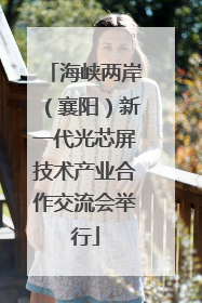 海峡两岸（襄阳）新一代光芯屏技术产业合作交流会举行