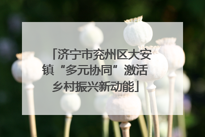 济宁市兖州区大安镇“多元协同”激活乡村振兴新动能