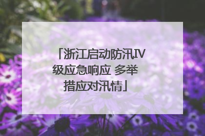 浙江启动防汛Ⅳ级应急响应 多举措应对汛情