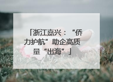 浙江嘉兴：“侨力护航”助企高质量“出海”
