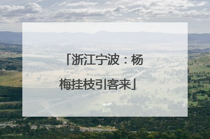 浙江宁波：杨梅挂枝引客来