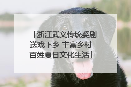 浙江武义传统婺剧送戏下乡 丰富乡村百姓夏日文化生活