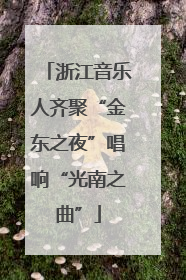 浙江音乐人齐聚“金东之夜”唱响“光南之曲”