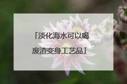 淡化海水可以喝 废渣变身工艺品