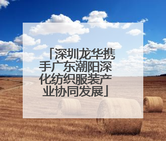 深圳龙华携手广东潮阳深化纺织服装产业协同发展