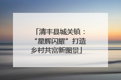 清丰县城关镇：“星辉闪耀”打造乡村共富新图景