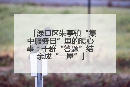 渌口区朱亭镇“集中服务日”里的暖心事：干群“答题”结亲成“一屋”