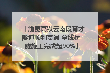 渝昆高铁云南段育才隧道顺利贯通 全线桥隧施工完成超90%