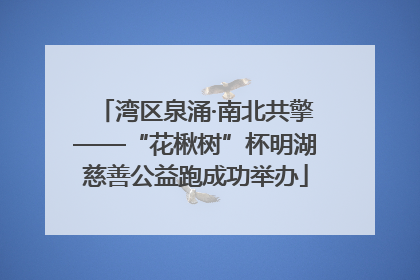 湾区泉涌·南北共擎——“花楸树”杯明湖慈善公益跑成功举办