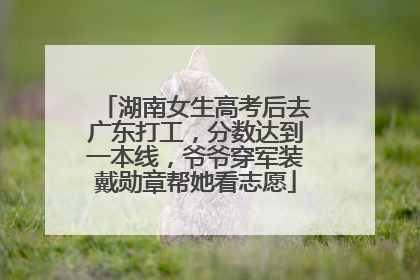 湖南女生高考后去广东打工，分数达到一本线，爷爷穿军装戴勋章帮她看志愿