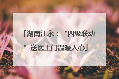 湖南江永：“四级联动”送医上门温暖人心