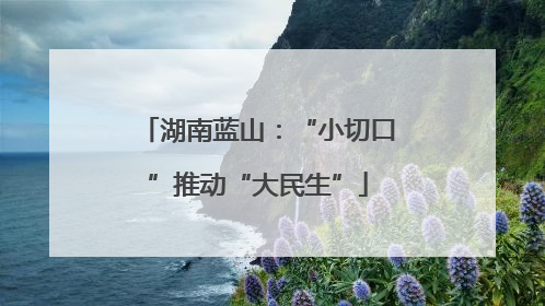 湖南蓝山：“小切口”推动“大民生”