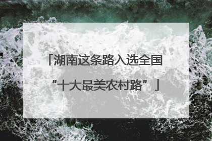 湖南这条路入选全国“十大最美农村路”