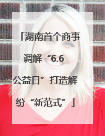 湖南首个商事调解“6.6 公益日”打造解纷“新范式”