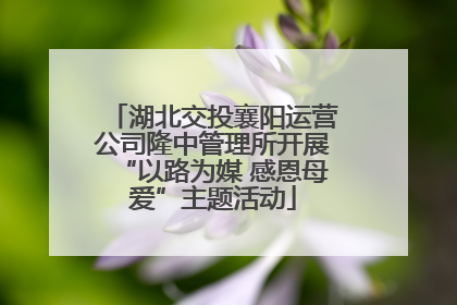 湖北交投襄阳运营公司隆中管理所开展“以路为媒 感恩母爱”主题活动
