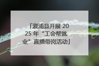 溆浦县开展 2025 年“工会帮就业”直播带岗活动