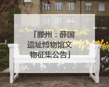 滕州：薛国遗址博物馆文物征集公告