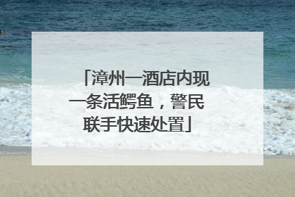 漳州一酒店内现一条活鳄鱼，警民联手快速处置