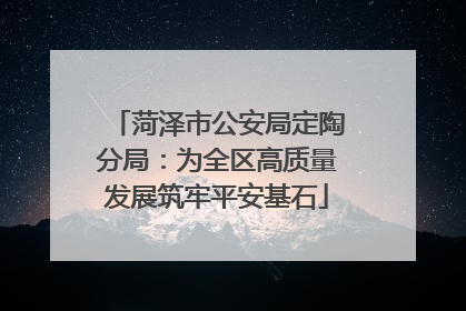 菏泽市公安局定陶分局：为全区高质量发展筑牢平安基石