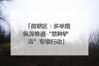 荷塘区：多举措纵深推进“禁种铲毒”专项行动