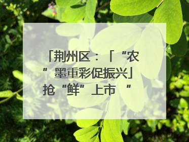 荆州区：「“农”墨重彩促振兴」抢“鲜”上市 “采摘经济”助农“甜蜜增收”