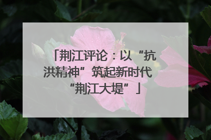 荆江评论：以“抗洪精神”筑起新时代“荆江大堤”