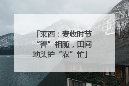 莱西：麦收时节“警”相随，田间地头护“农”忙