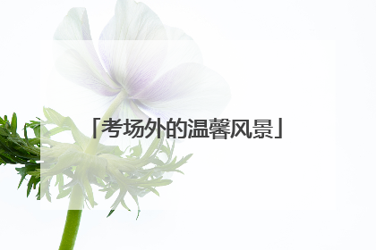 考场外的温馨风景