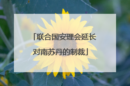 联合国安理会延长对南苏丹的制裁