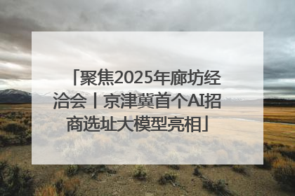 聚焦2025年廊坊经洽会丨京津冀首个AI招商选址大模型亮相