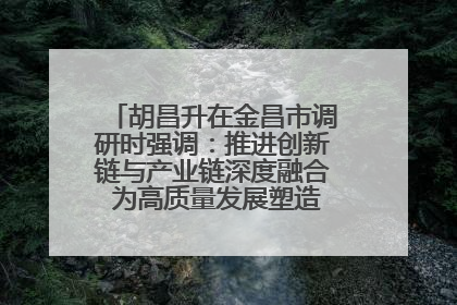 胡昌升在金昌市调研时强调：推进创新链与产业链深度融合 为高质量发展塑造新动能新优势