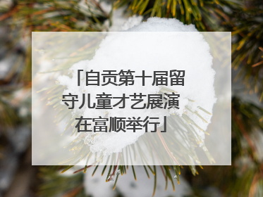 自贡第十届留守儿童才艺展演在富顺举行