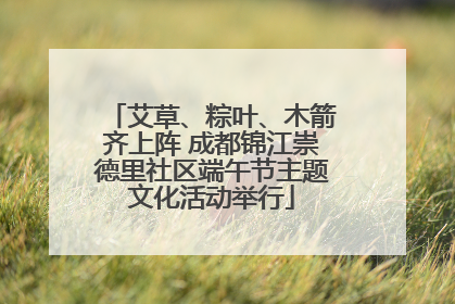 艾草、粽叶、木箭齐上阵 成都锦江崇德里社区端午节主题文化活动举行
