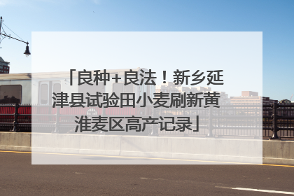良种+良法！新乡延津县试验田小麦刷新黄淮麦区高产记录