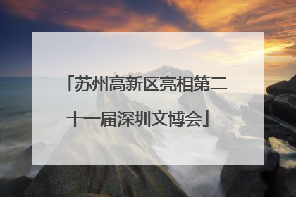 苏州高新区亮相第二十一届深圳文博会