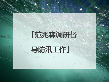 范兆森调研督导防汛工作