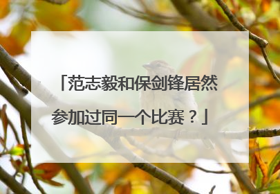 范志毅和保剑锋居然参加过同一个比赛？